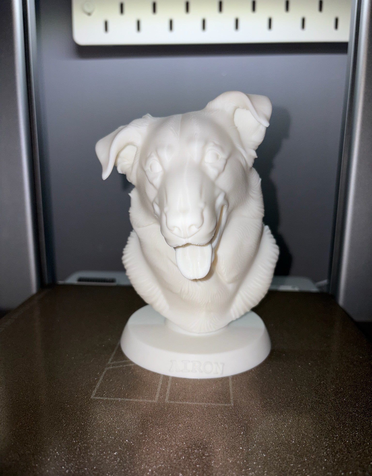 Busto Airon